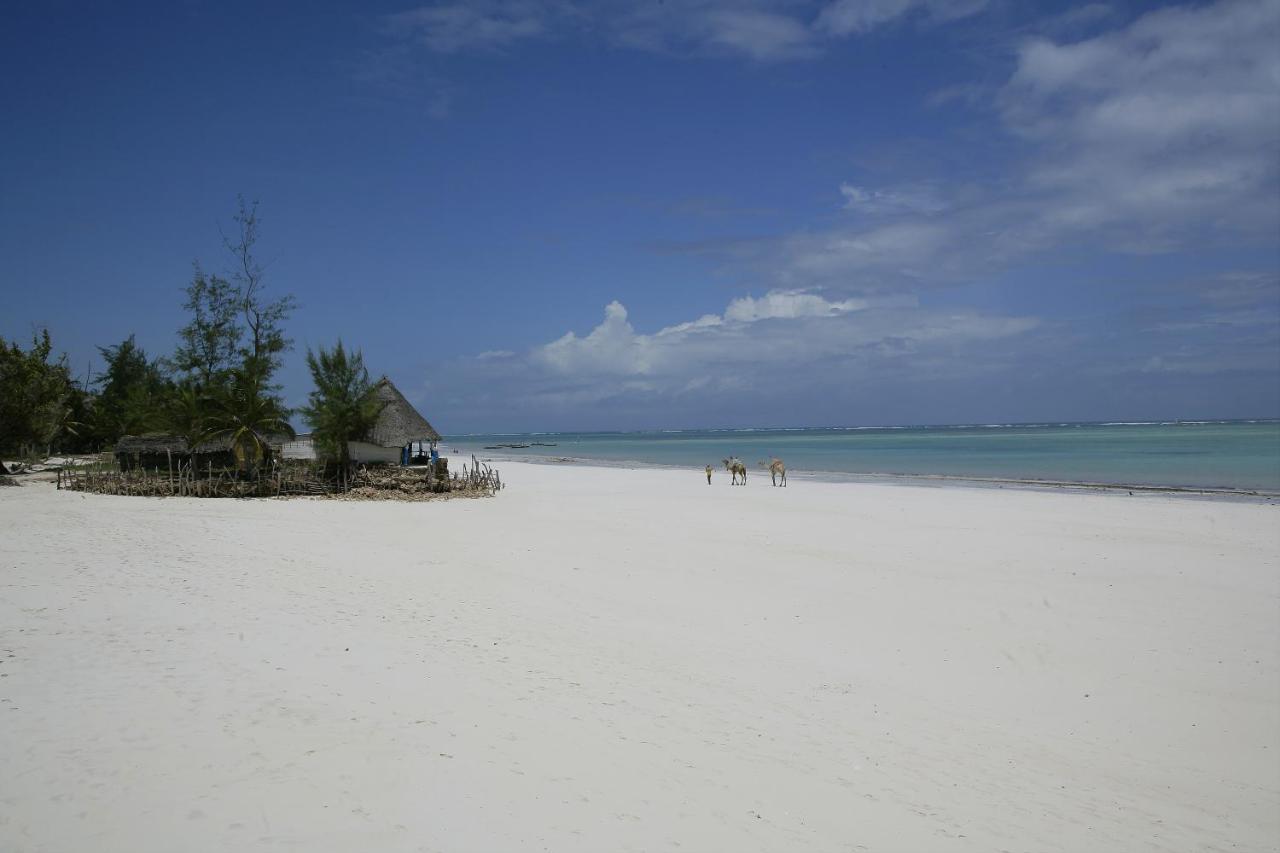 Kusini Beach Cottages Diani Beach Εξωτερικό φωτογραφία